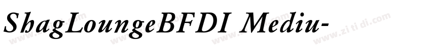ShagLoungeBFDI Mediu字体转换